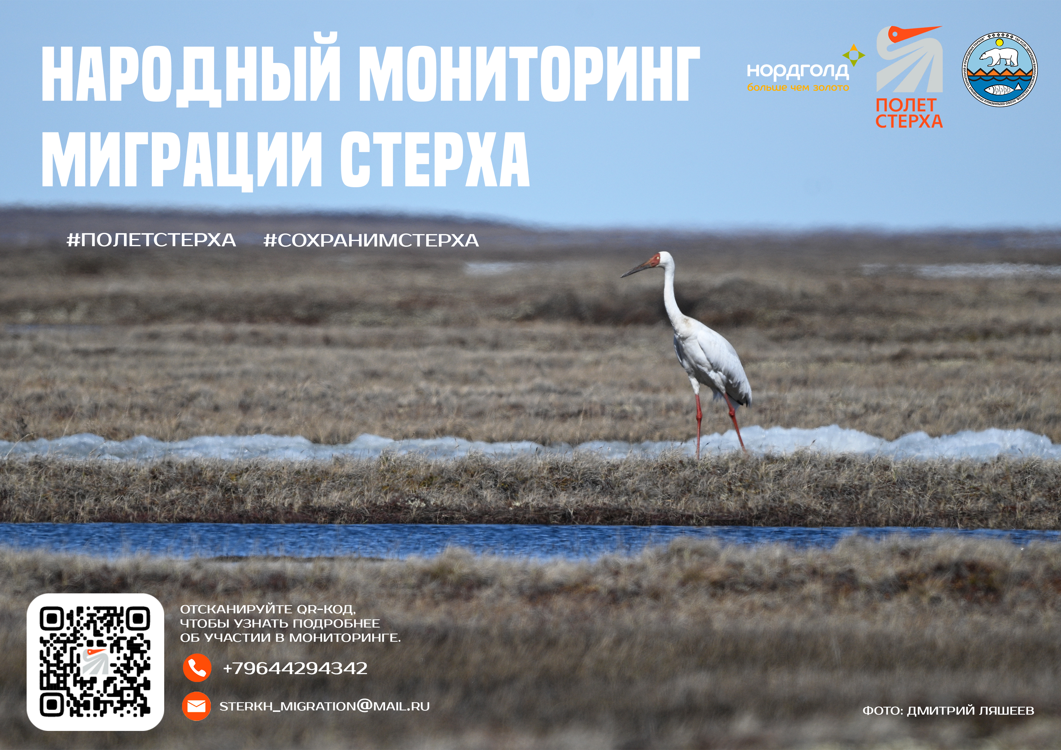Народный мониторинг миграции стерха 